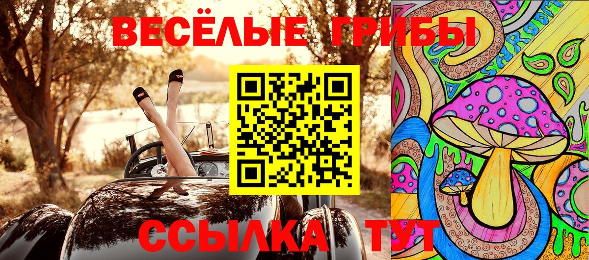 Псилоцибиновые грибы Psilocybe Воркута