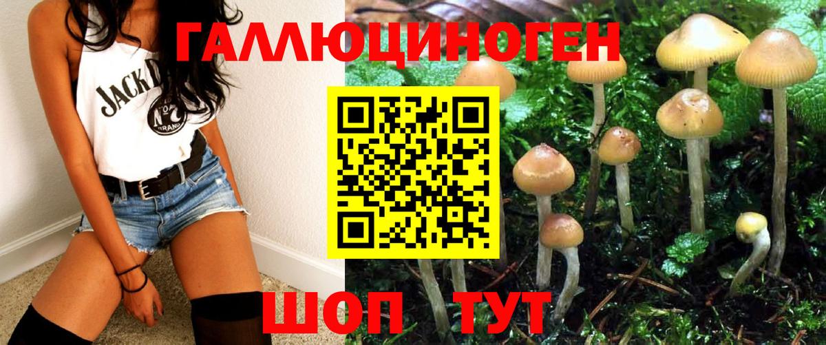 Воркута  Галлюциногенные грибы MAGIC MUSHROOMS  Вход с VPN 